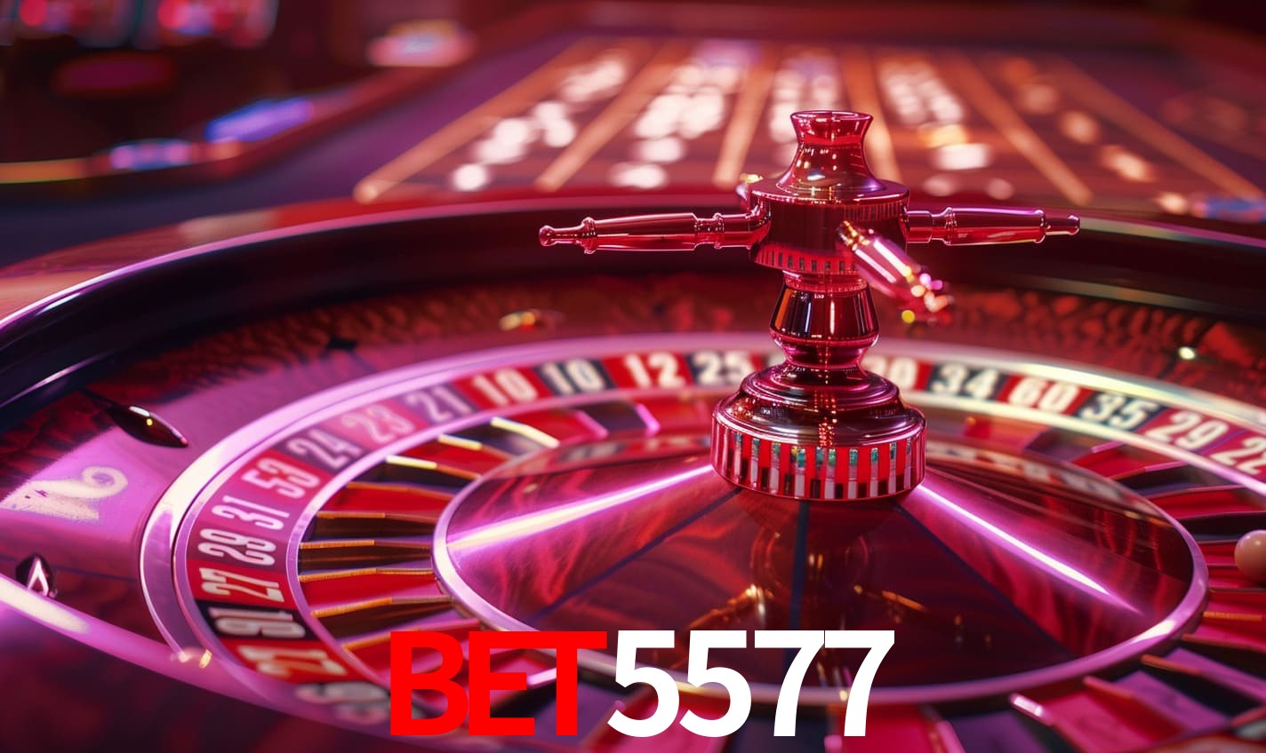 Casino VIP bet5577