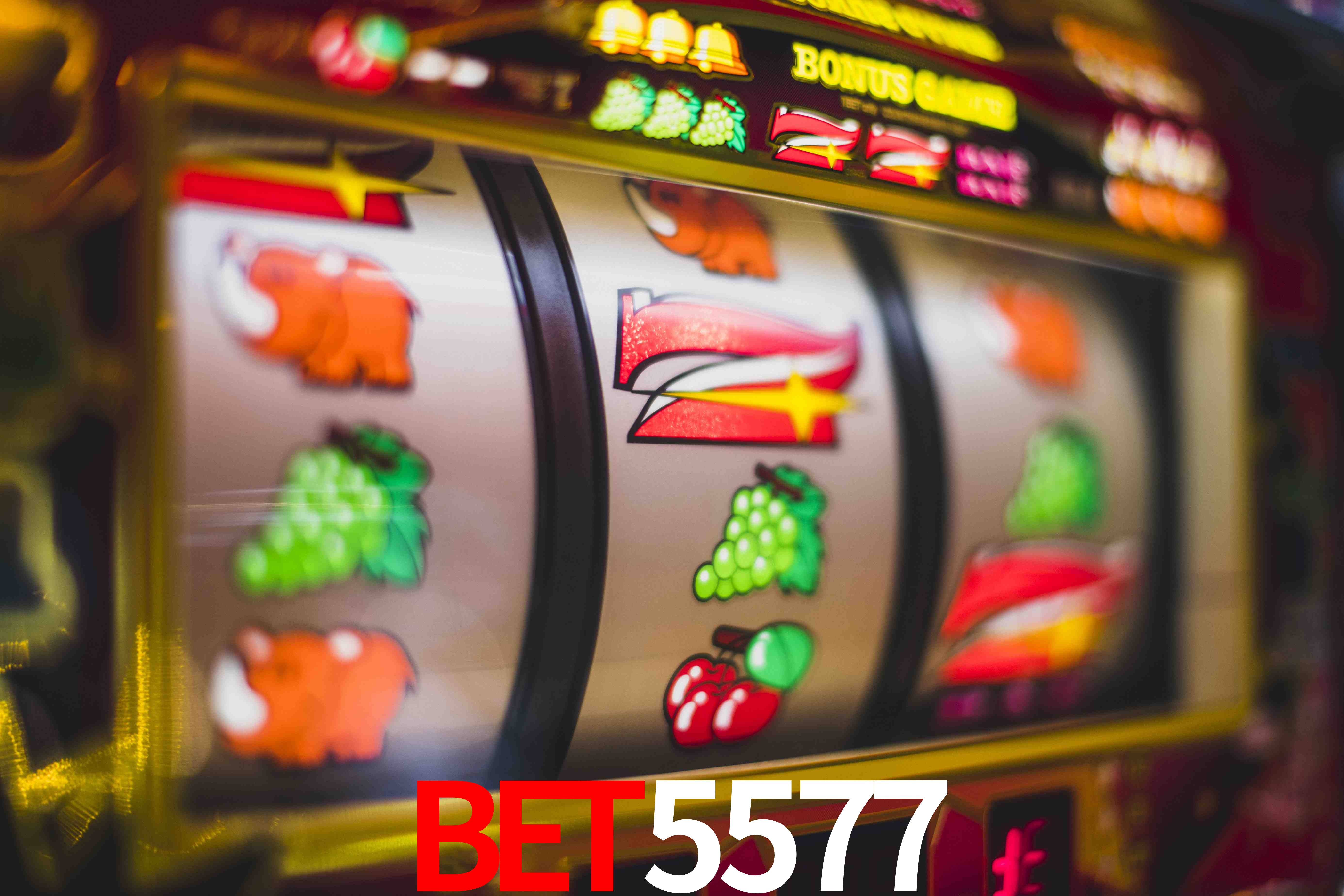 Crash Games Statistics BET5577